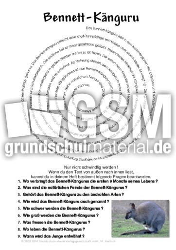 Bennett-Känguru.pdf